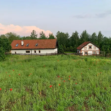 Villa Miejski 8